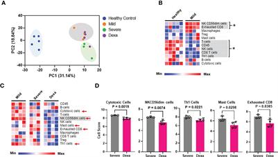Immune and ionic mechanisms mediating the effect of dexamethasone in severe COVID-19